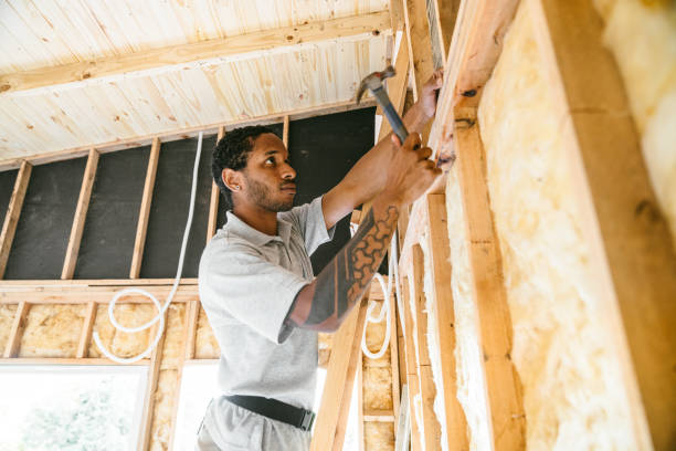 Best Fiberglass Insulation  in Perry, MI