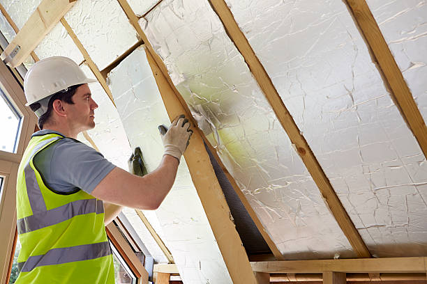 Best Blown-in Insulation  in Perry, MI