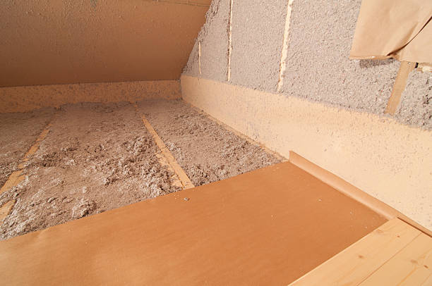 Best Insulation Removal  in Perry, MI